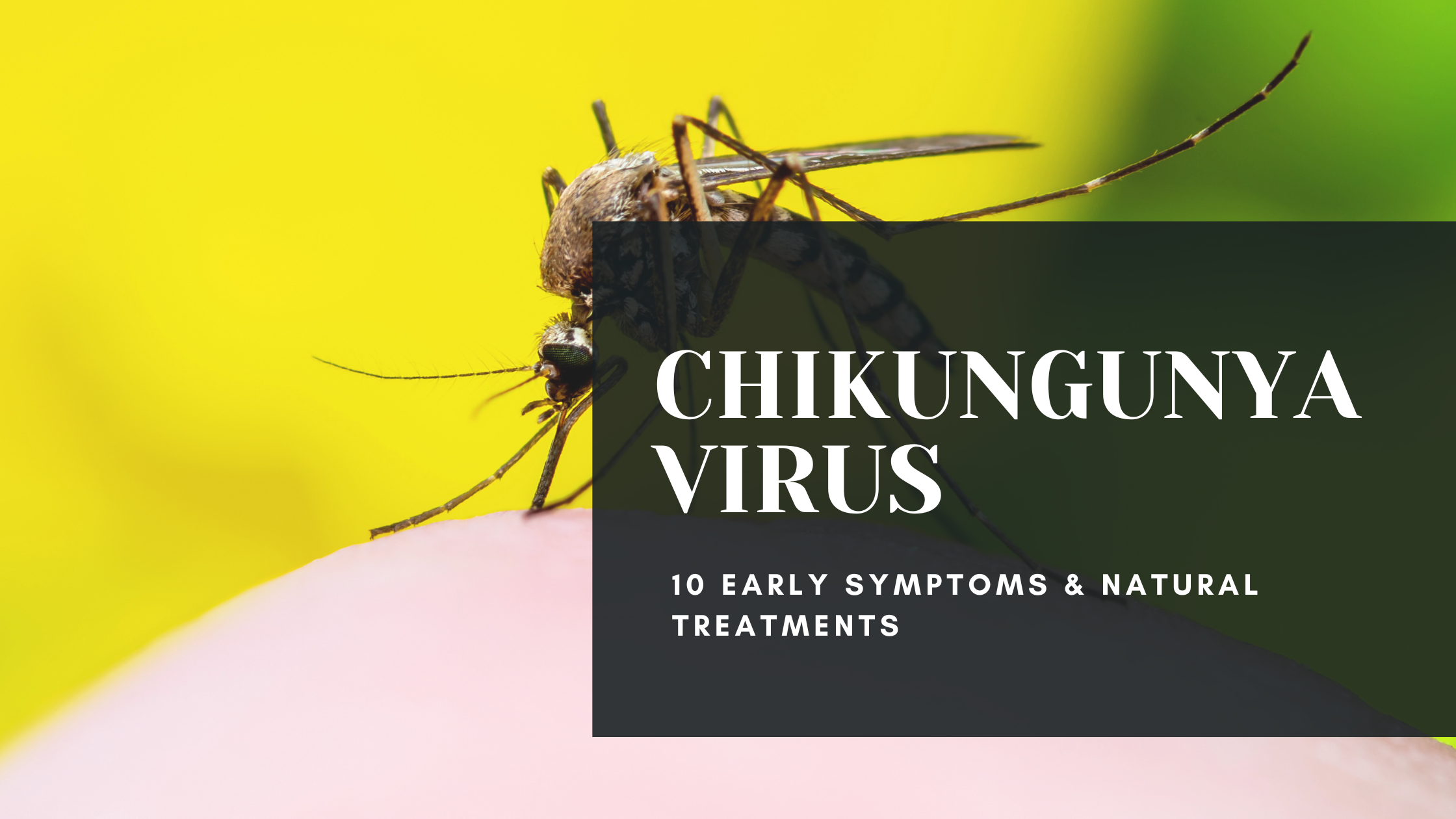 Chikungunya Virus